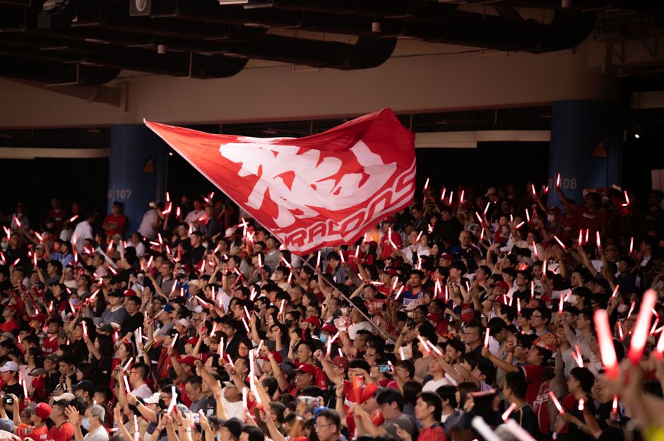 A Fan's Guide to Red Energy Arena: Everything You Need to Know Before You Go