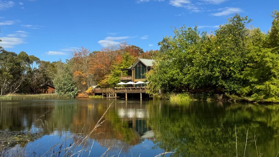 Wellness Retreats Near Adelaide: Best 2025 Escapes