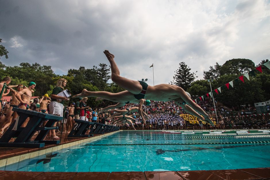 Canberra's pool scene heats up as swimmers dominate regional titles this week