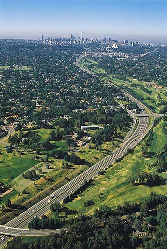 Johannesburg Parkruns Draw Hundreds Weekly Across City's Top Green Spaces