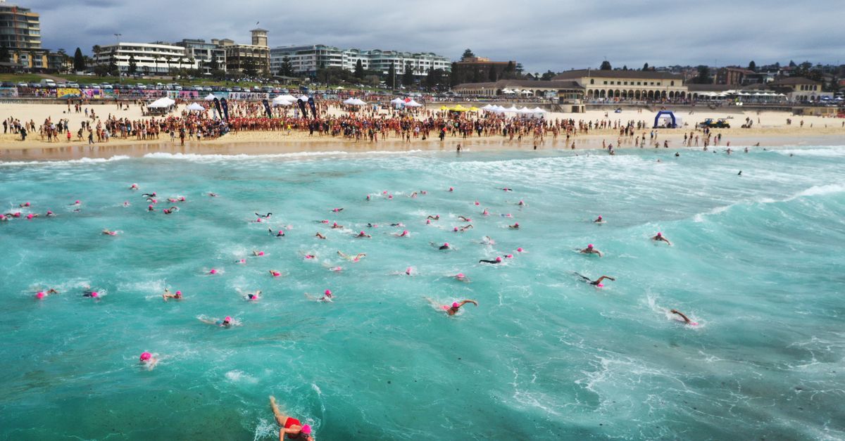 Gyms in Sydney Report Surge in Memberships This Week