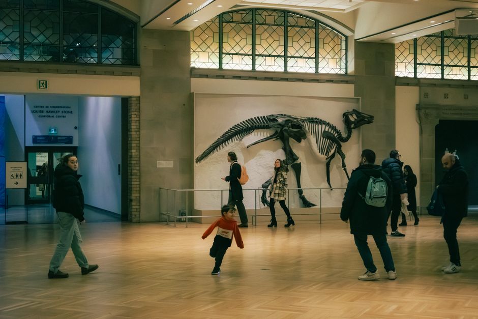 Toronto Arts Organizers Adapt Programming as Heatwave Sweeps North America
