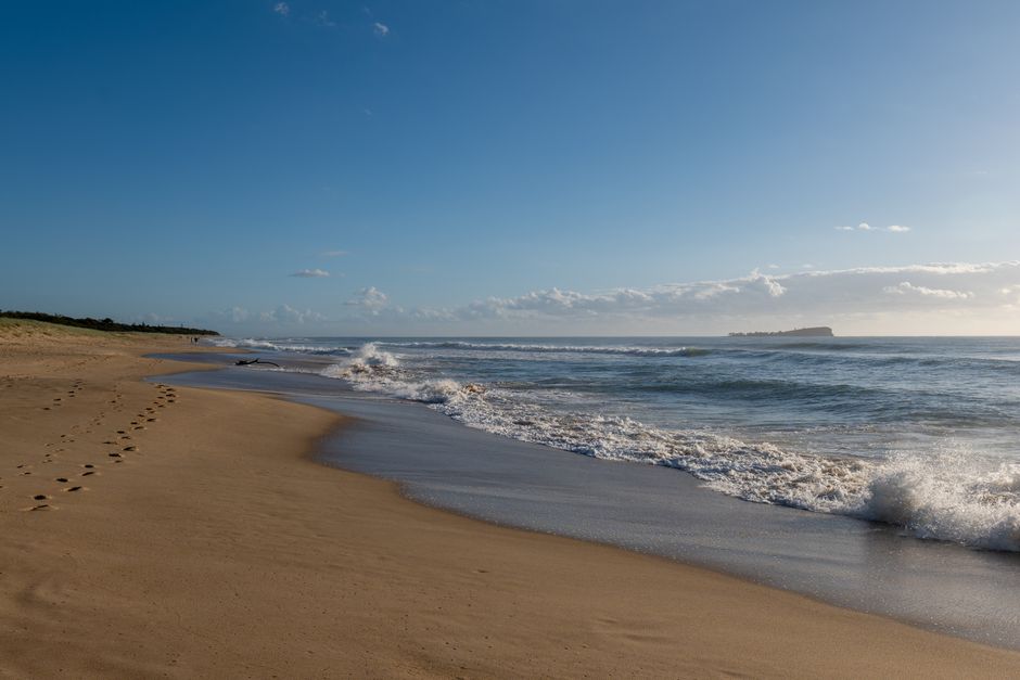 June Jobs Surge Signals Strong Investment Flows Into Sunshine Coast Economy