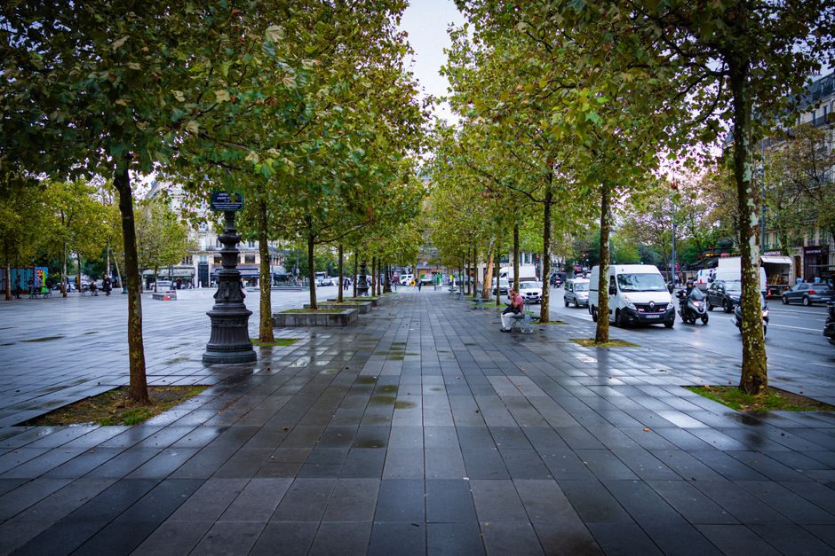 By the Numbers: How Duplicate Images Are Draining Paris's Digital Property Market