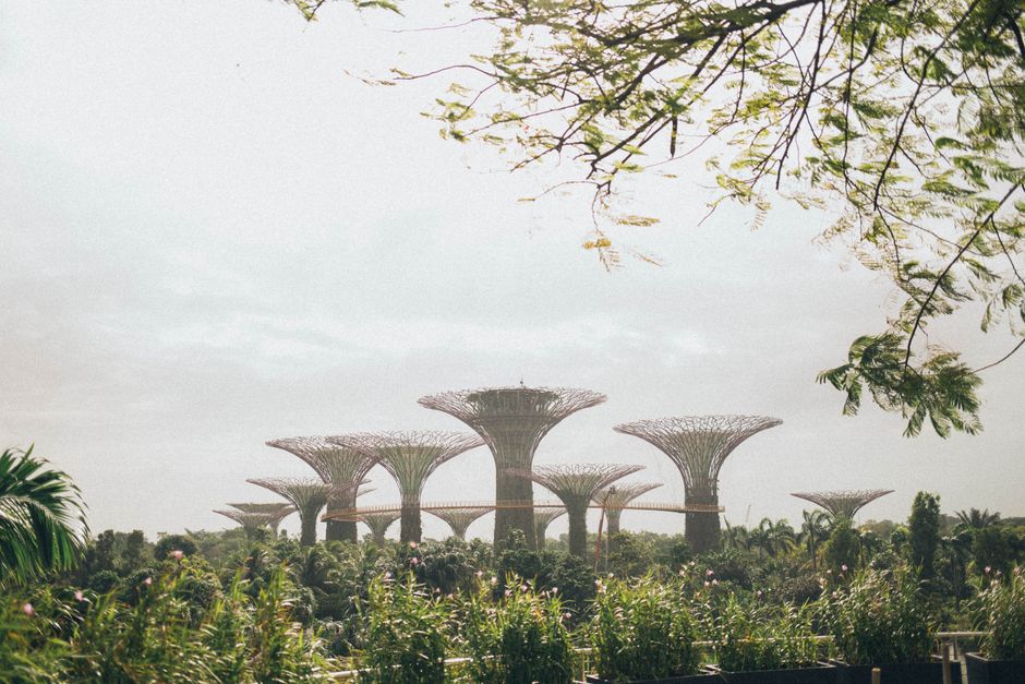 What Visitors Should Know and the Must-See Highlights in Singapore Today