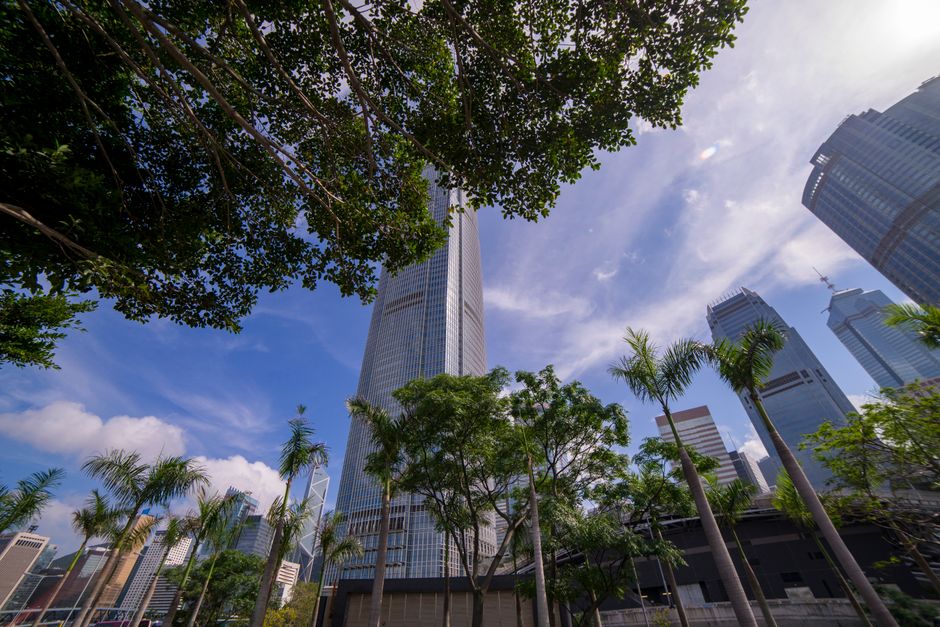 Hong Kong's Jobs Market Sends Mixed Signals: What the Latest Investment Flows Tell Us
