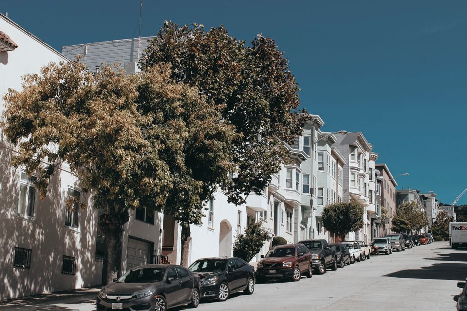 Golden Gate to Dolores Park: What You Really Need to Know About SF's Green Spaces—and What They'll Cost You