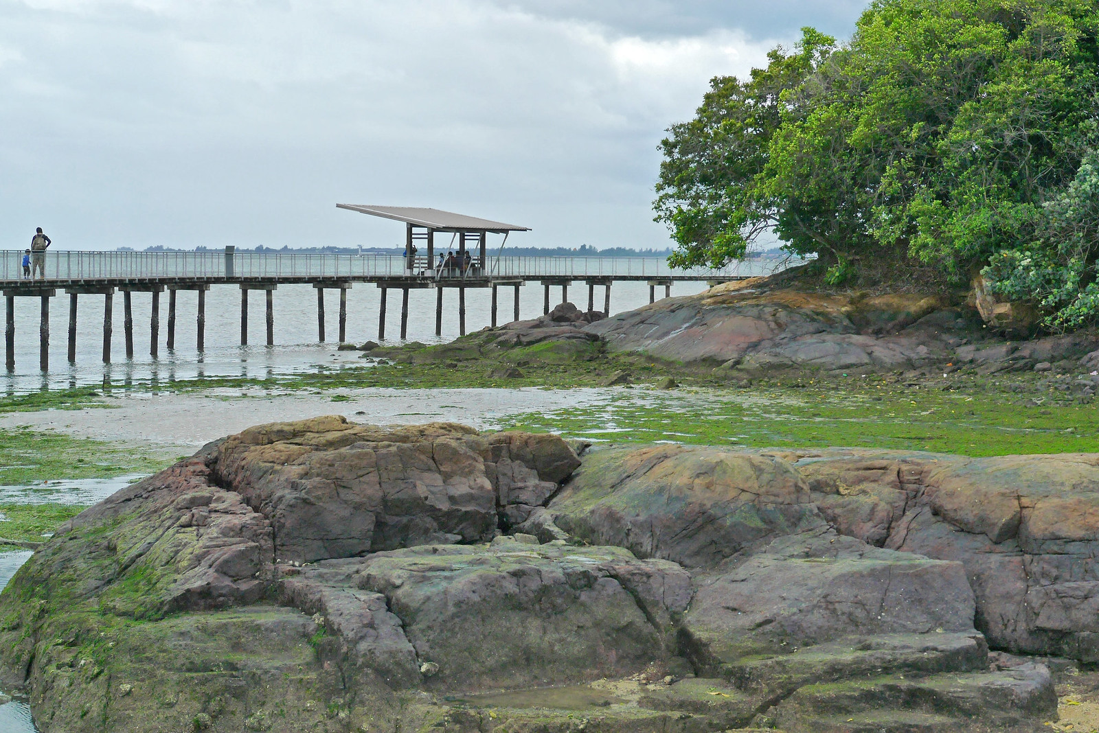 Pulau Ubin and Chek Jawa: an expanded access and facilities guide