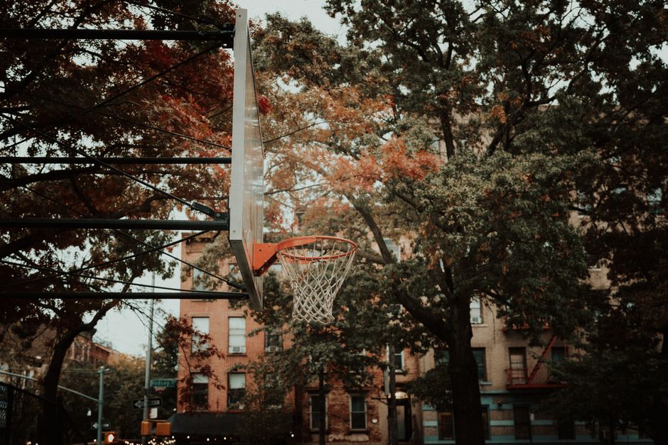 Scaling New Heights: How Local Climbing Clubs Are Building Community Across New York