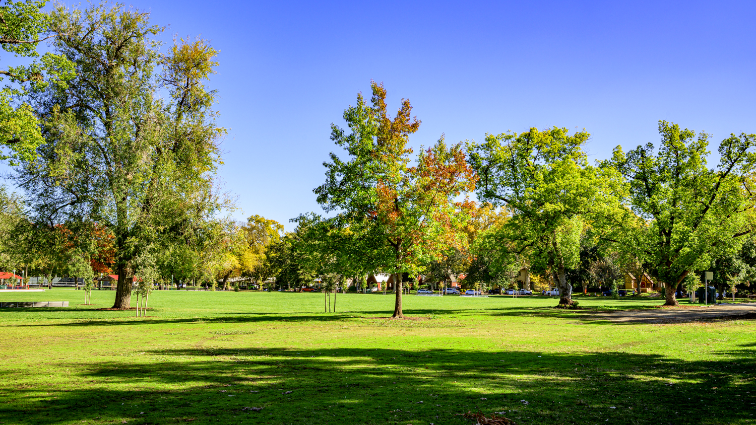 Sacramento Expands Outdoor Boot Camps Across Parks This Summer