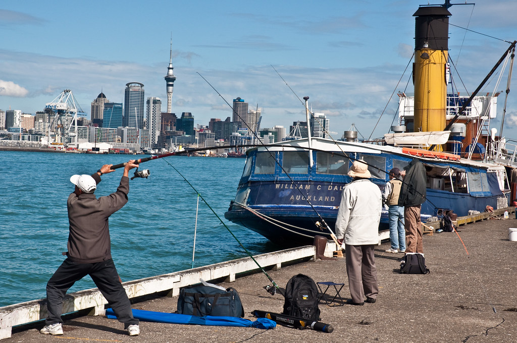 Auckland Insurance Premiums: Why Oil & Stocks Matter