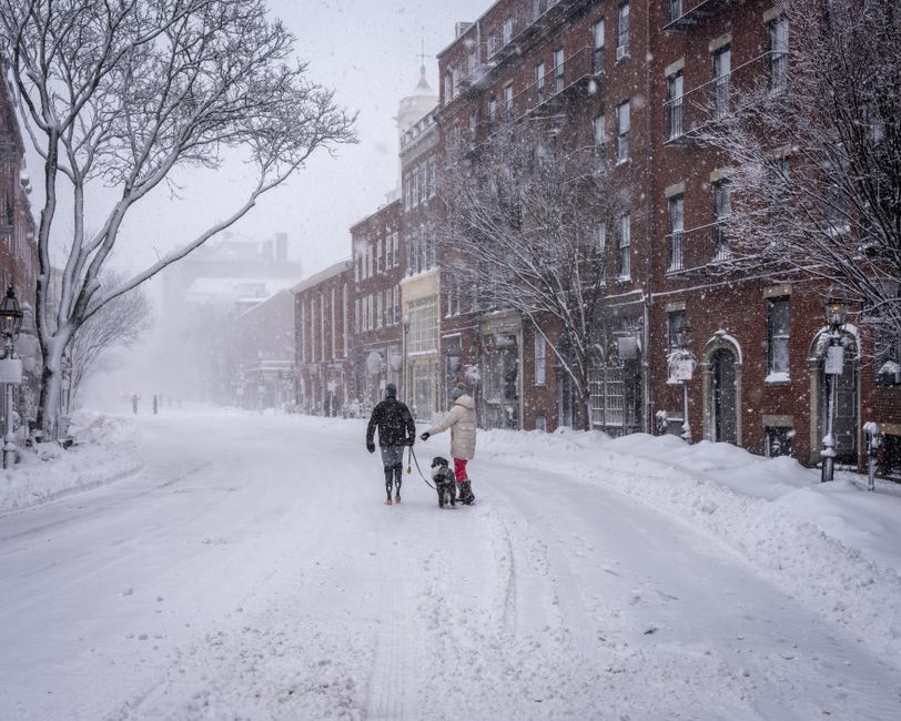 Latest Developments and What Happened This Week in Boston's Image Replacement Efforts