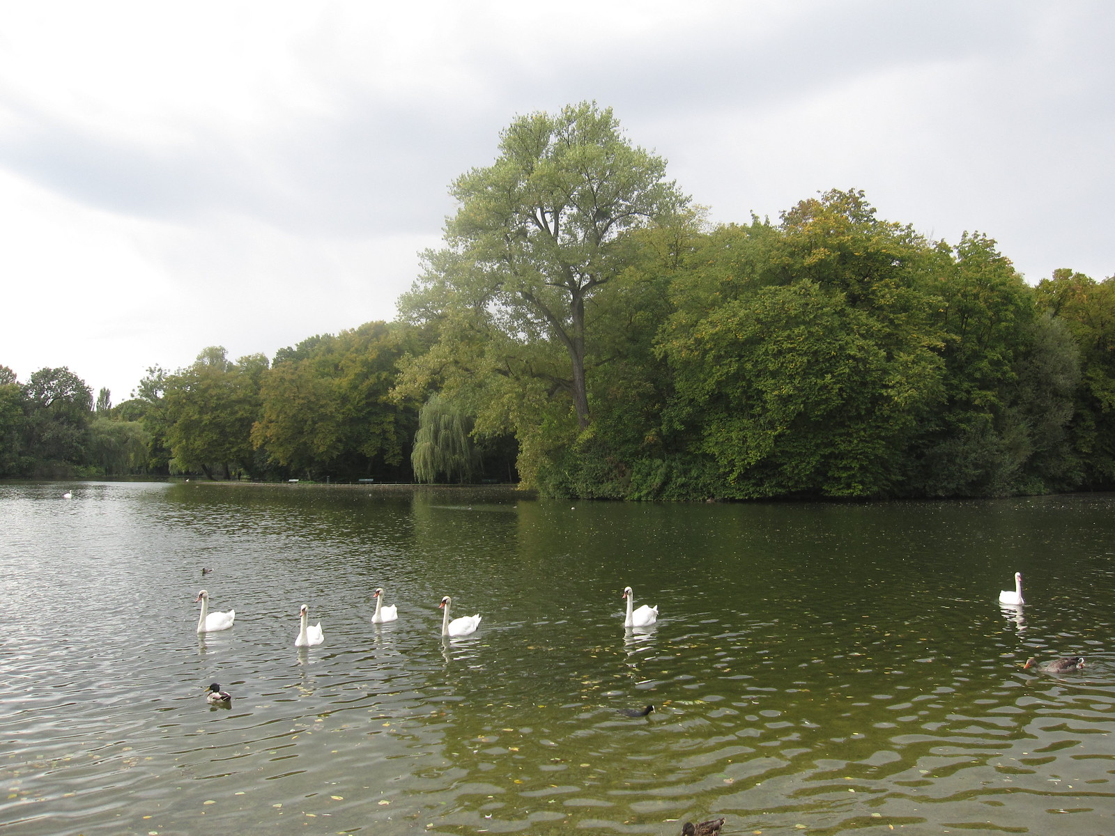 The Englischer Garten: A Visitor Guide to Munich Great Park