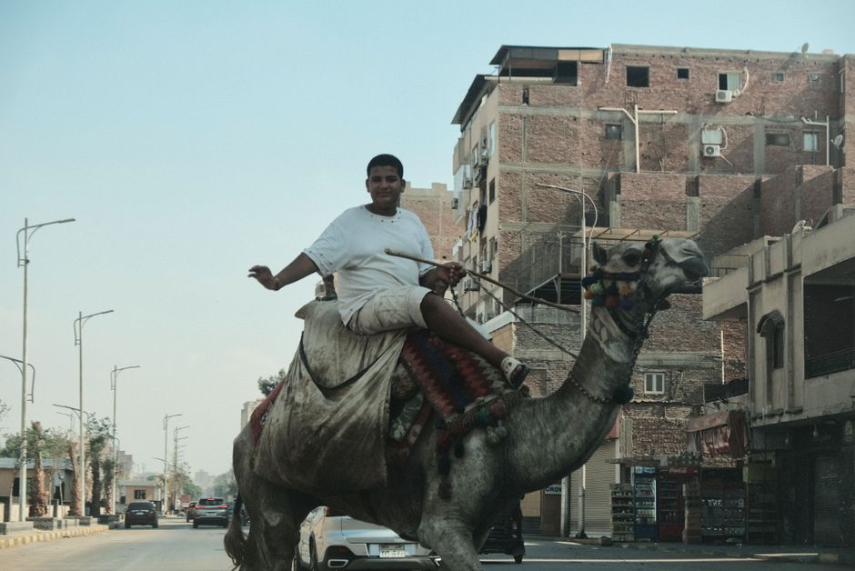 Voices from Affected Community Members on the Issue of Duplicate Images in Cairo's Streets