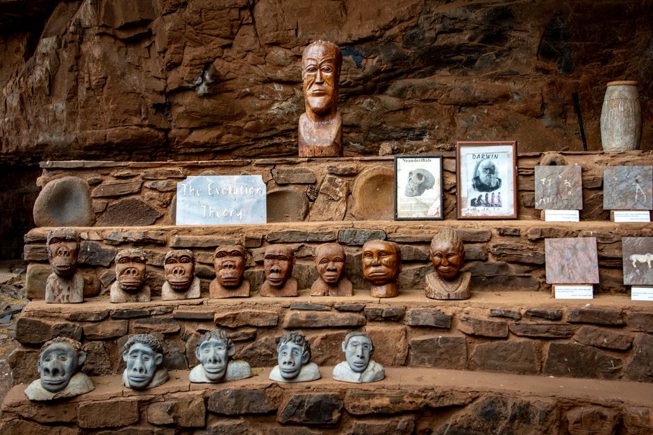 Darwin's Duplicate Image Problem: The Key Decisions That Will Define What Comes Next