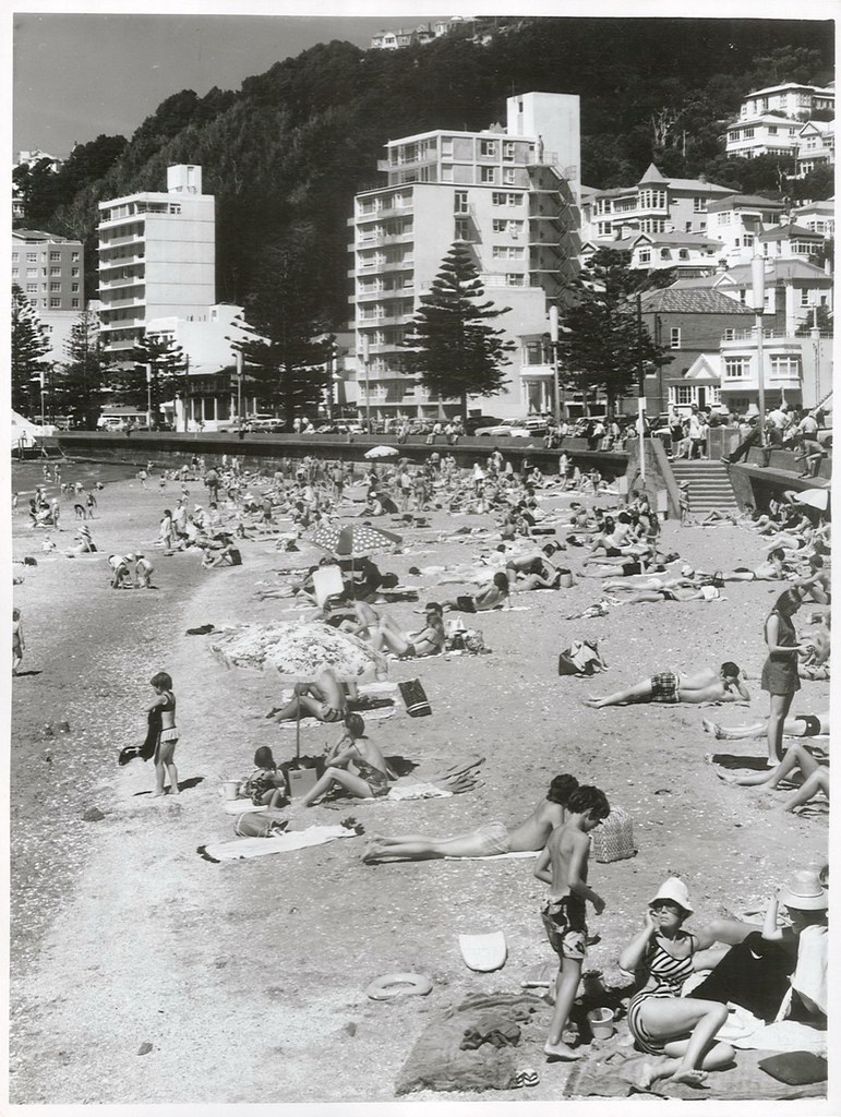 Oriental Bay Prices Surge 14% as Wellington Waterfront Market Accelerates