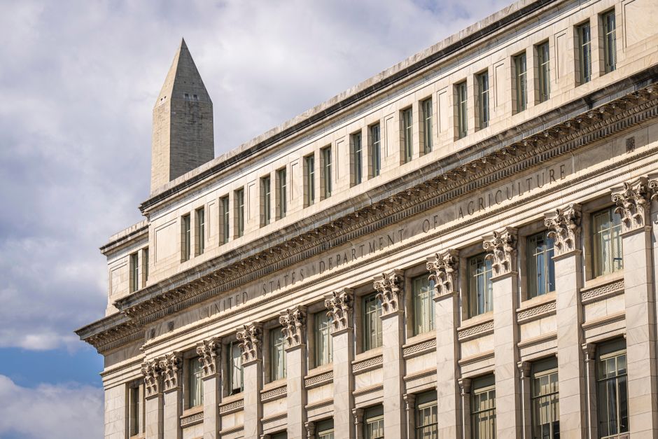 The Science Behind Sleep: What Washington DC's Wellness Community Should Know