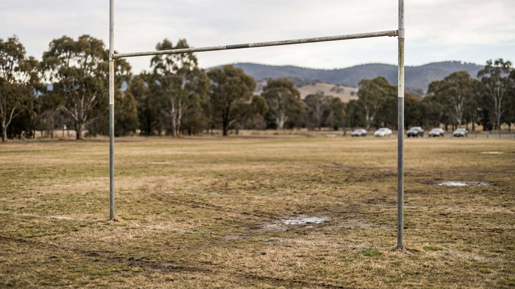 Canberra’s Gungahlin Wolves Ride Unbeaten Run into ACT Rugby Finals