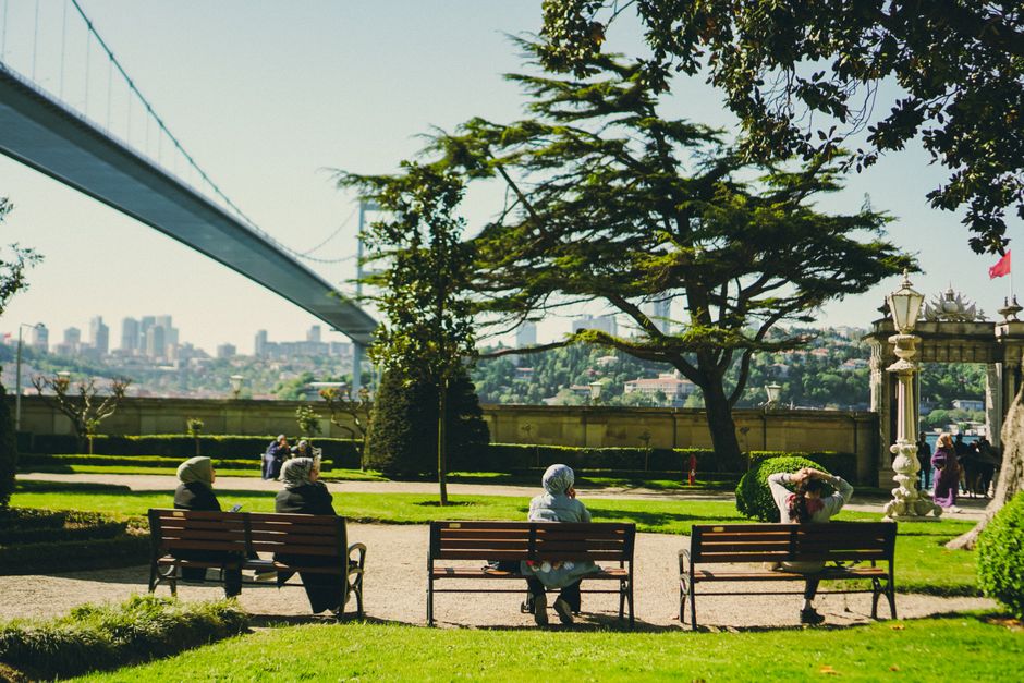 What Research Really Shows About Staying Mobile After 60: The Science Istanbul's Active Agers Need to Know