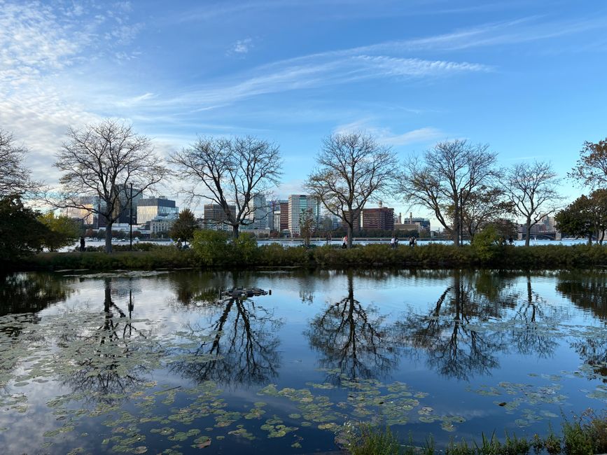 Your Guide to Free and Low-Cost Wellness Screenings Across Boston