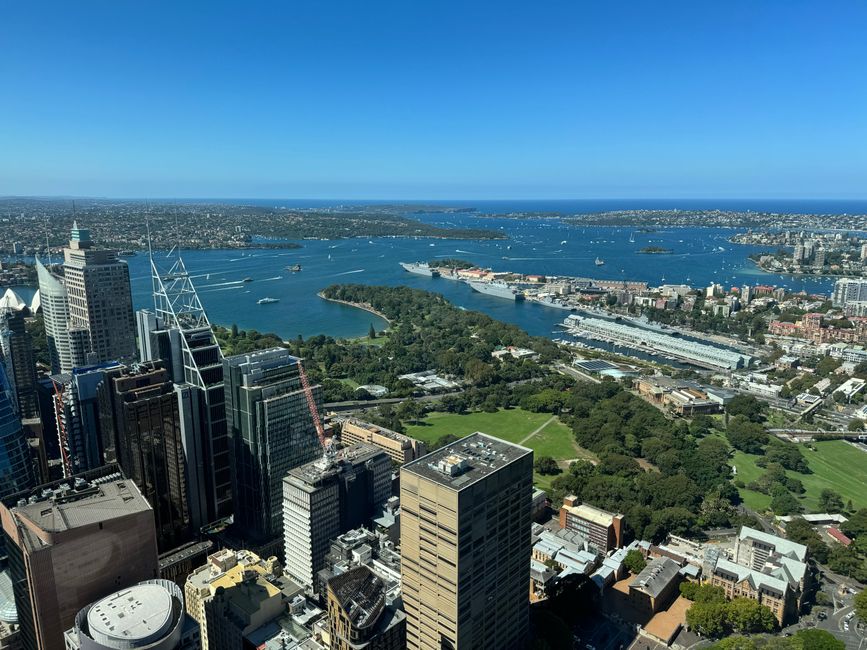 Green Light for 42-Storey Parramatta Tower Puts 380 New Apartments Into a Market Starved of Stock