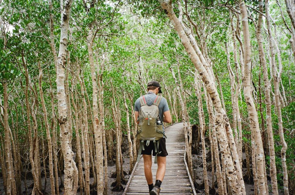 Finding Your Zen in Cairns: Local Meditation Classes, Groups and Apps Worth Trying