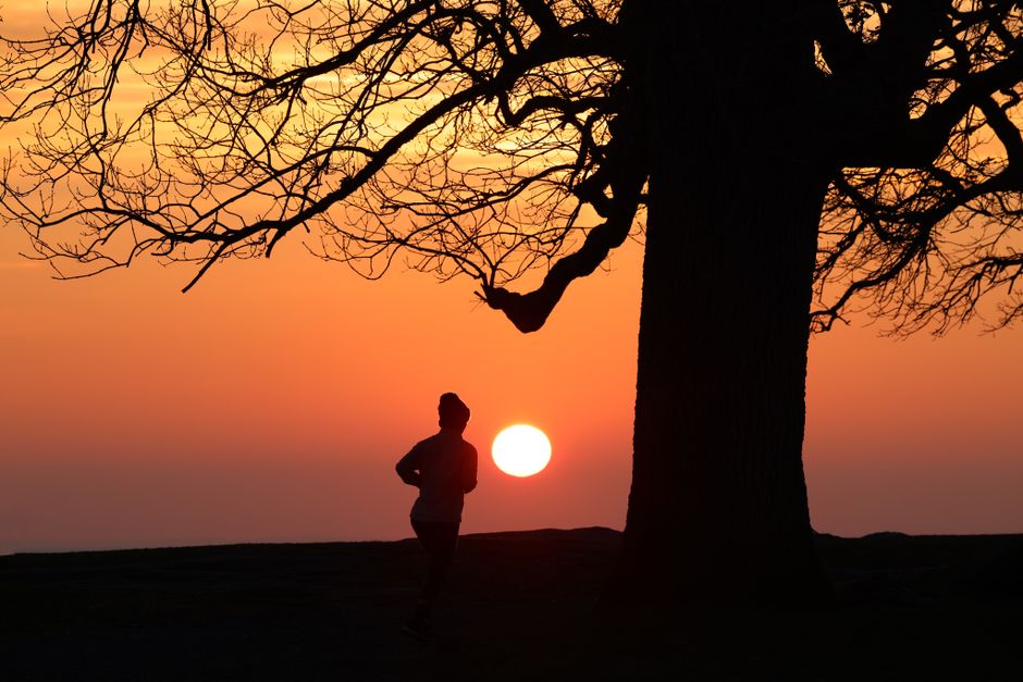 Where to find the best parkrun near you