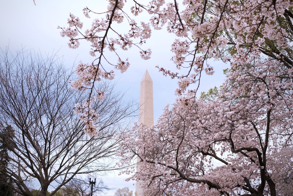 How Washingtonians Are Rewriting Their Health Stories, One Neighborhood at a Time