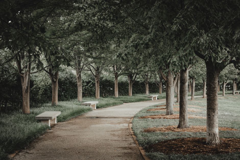 The Torrens Linear Park: The Green Spine That Connects Adelaide