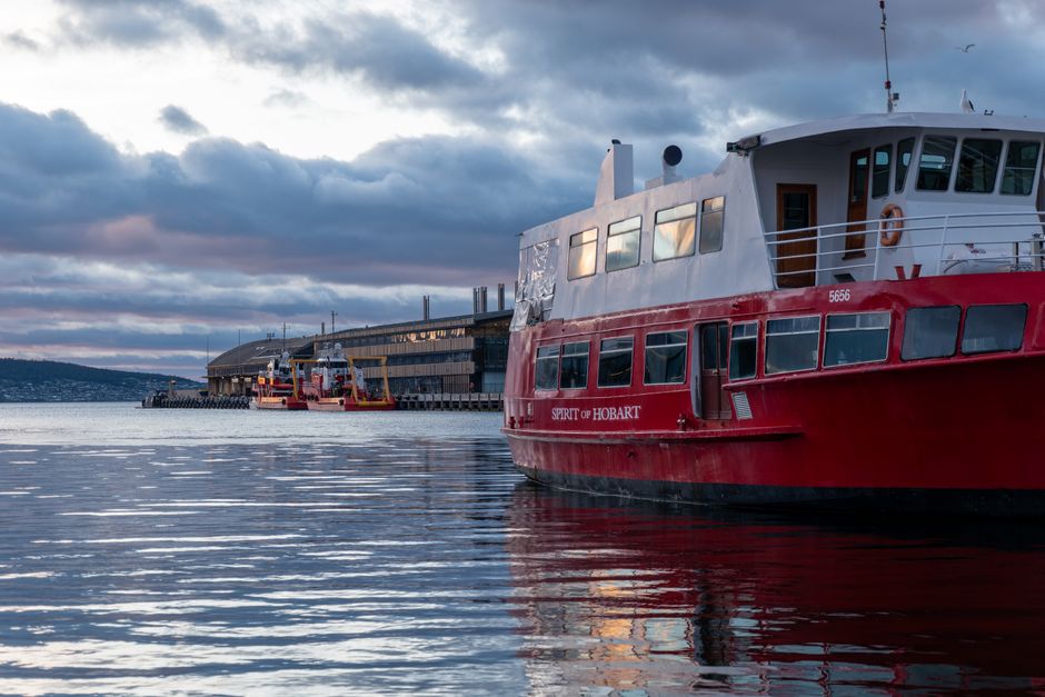 Your Complete Guide to Exploring Tasmania's Best Parks and Green Spaces This Winter