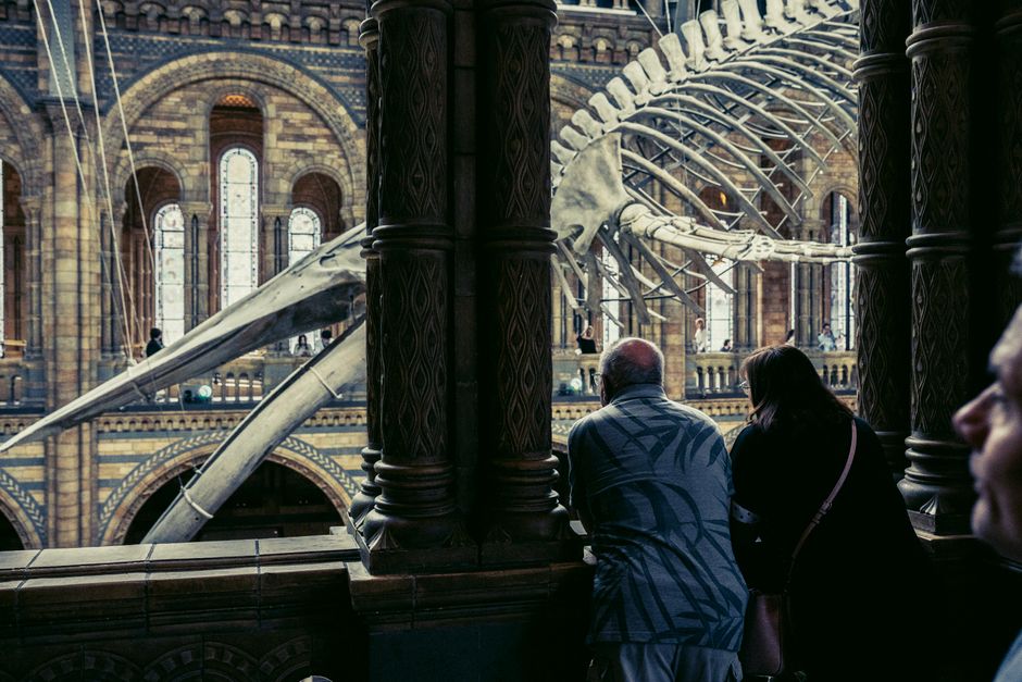 Summer 2026: Your Essential Guide to London's Gallery and Museum Scene—What to Know Before You Visit