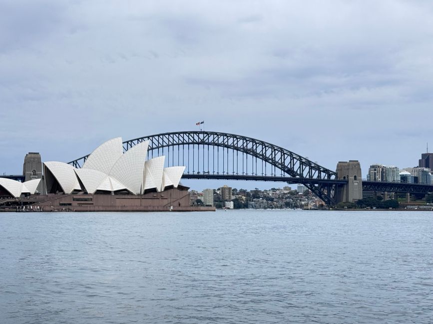 Sydney Schools Face Crisis After Decade of Underfunding and Growth