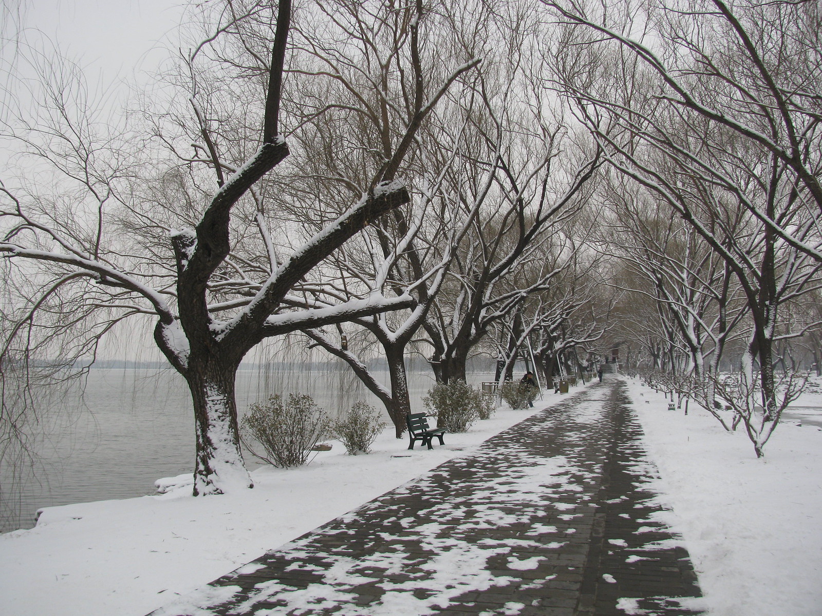 A visit to the Summer Palace imperial garden