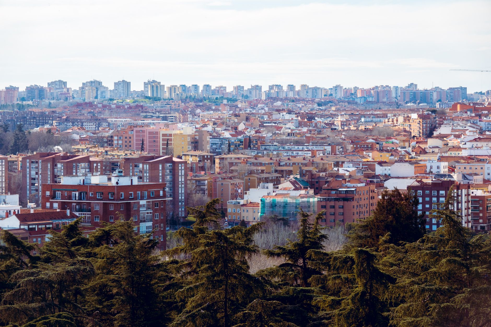 Madrid's Education System Outpaces European Peers in Digital Transformation, but Lags on Affordability