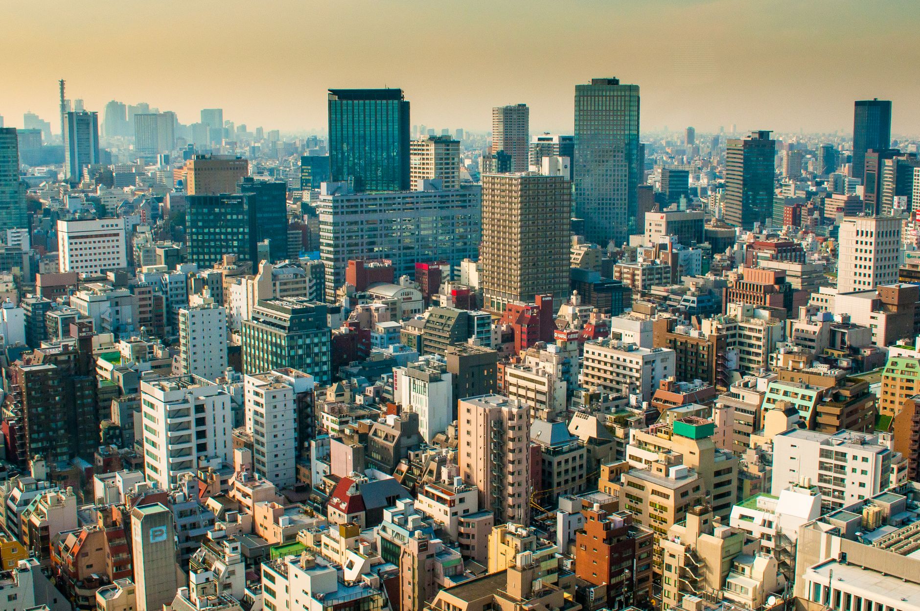 From Shibuya Startup to National Model: How One Tech Entrepreneur is Reshaping Tokyo's Job Market