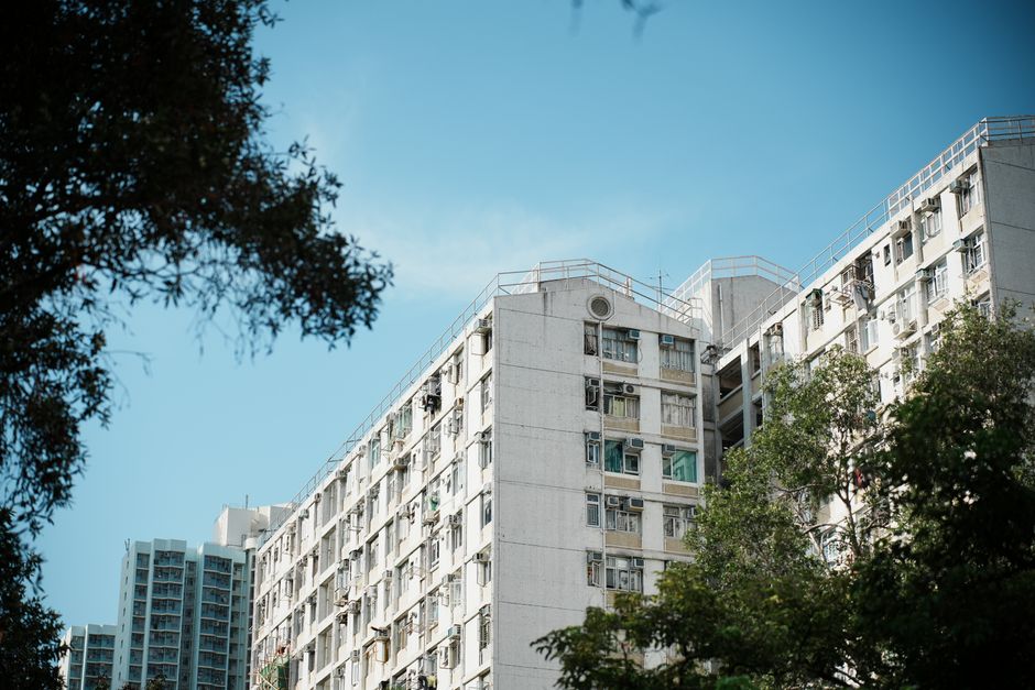 Vertical Oases: How Hong Kong's Green Spaces Defy the Concrete Jungle Stereotype