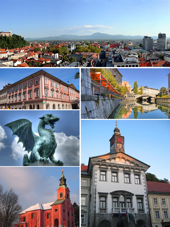 Ljubljana Raises Bus Fares to €42, Allocates €2.3 Million in Community Grants