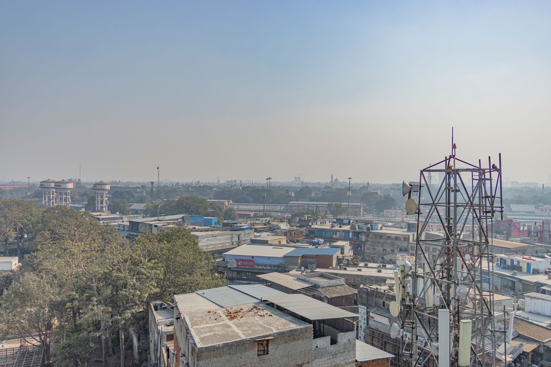 Delhi Green Roofs: How Hauz Khas Cut Energy Bills by 40%