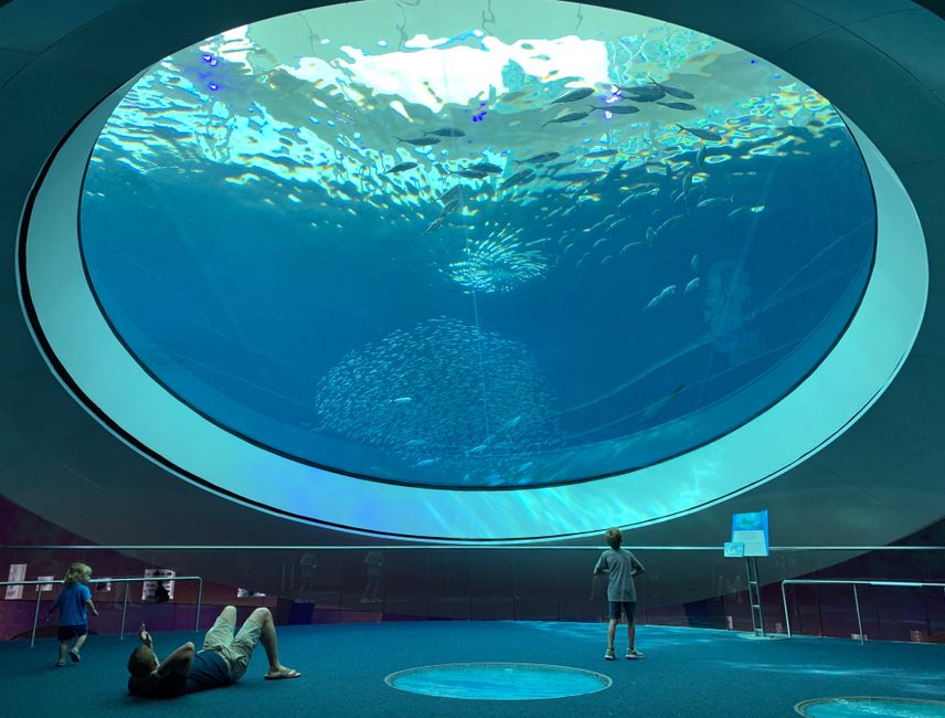 Central Coast Marine Discovery Centre launches community science talks for 2026