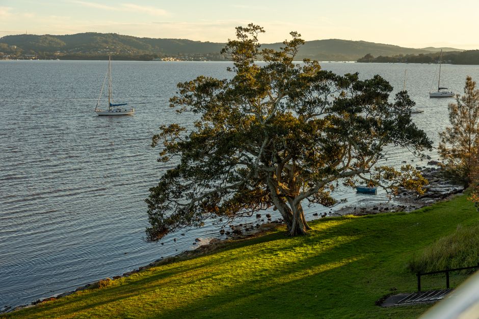 Gosford's Hidden Edge: A Blue-Chip Suburb That Still Offers Value