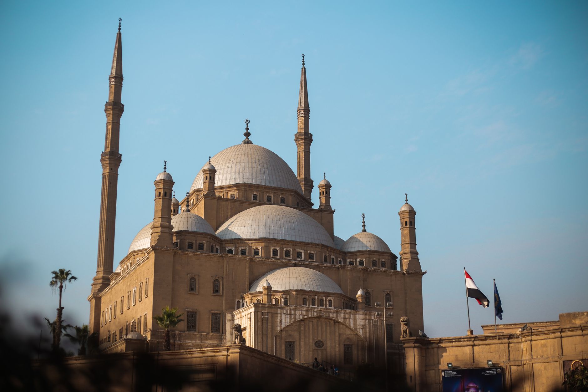 Cairo's AI Revolution: What's Coming Next in the Product Pipeline