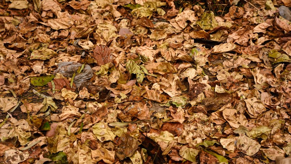 Things to Do Darwin Dry Season 2026: Outdoor Guide