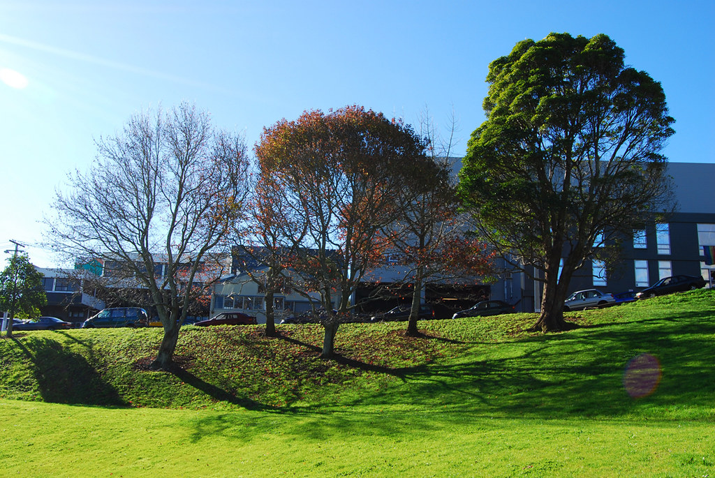 Auckland Locals Discover 12 Secret Nature Walks Tourists Skip