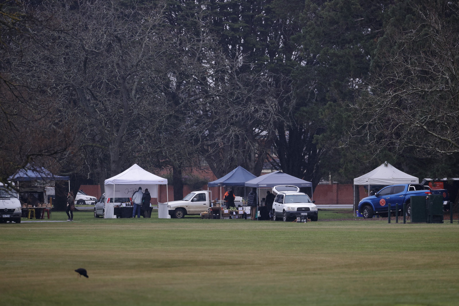 Ballarat Residents Discover 5 Top Local Food Markets and Eateries