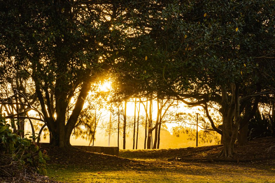 Macquarie Park and North Ryde reveal hidden community character beyond office parks.