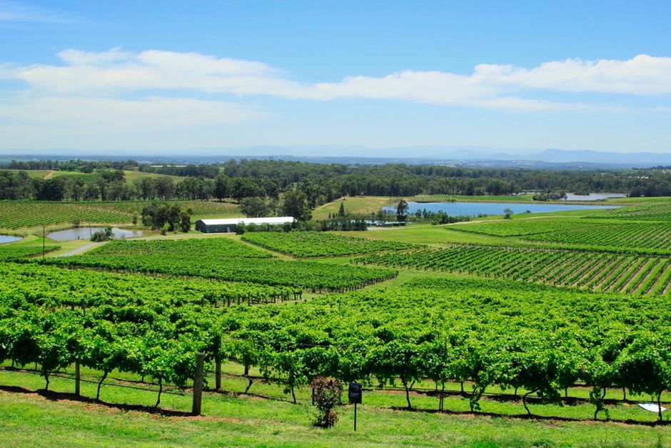 Yarra Valley: Melbourne's Wine Country an Hour from the CBD