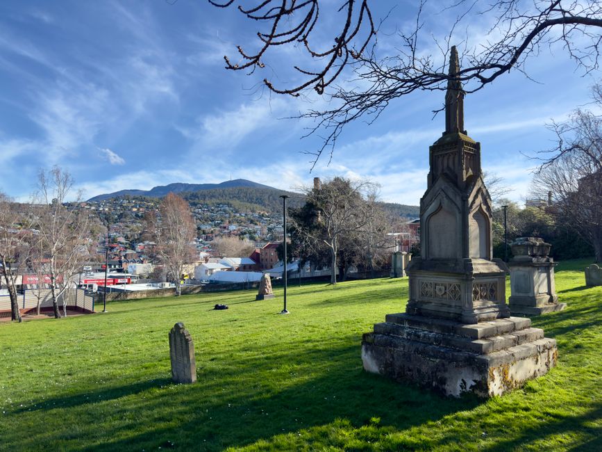Tasmania's Tech Gold Rush: The Dark Side of Venture Capital's Promise