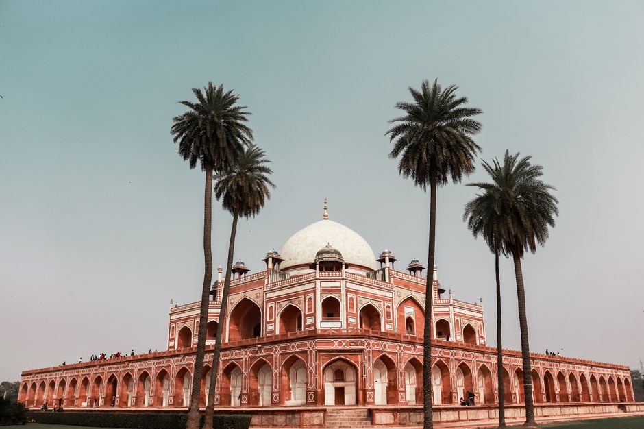 Delhi's Yoga Revolution: How Ancient Practice Outpaces Global Wellness Trends in Local Adoption
