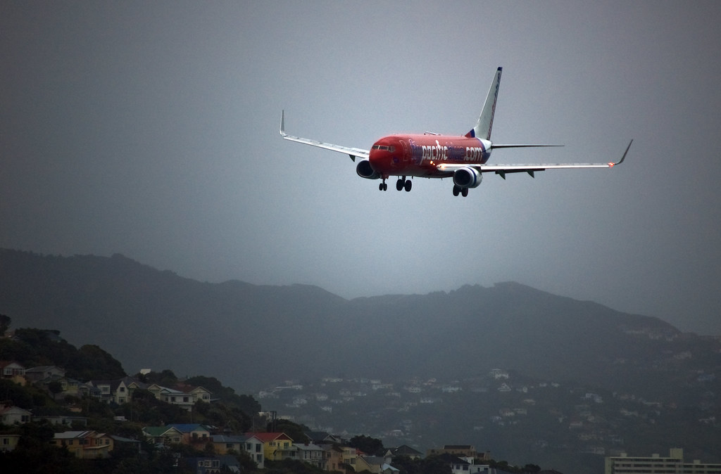 Wellington Auction Clearance Hits 71% as Buyers Sharpen Bidding Tactics