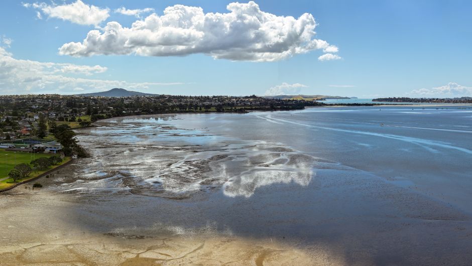 Auckland's Heat: How Much Water You Should Drink Daily